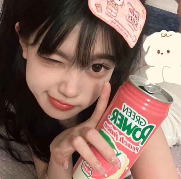 凤穿牡丹