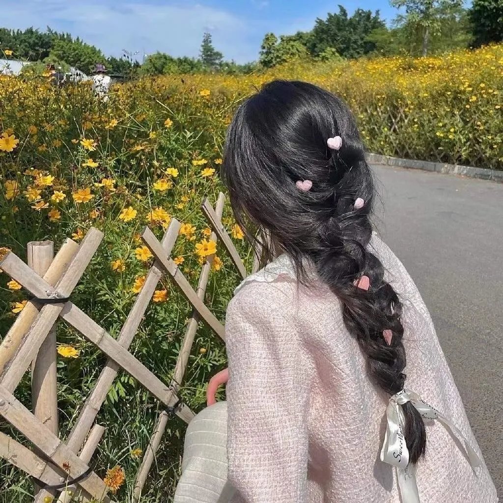 呆呆计划